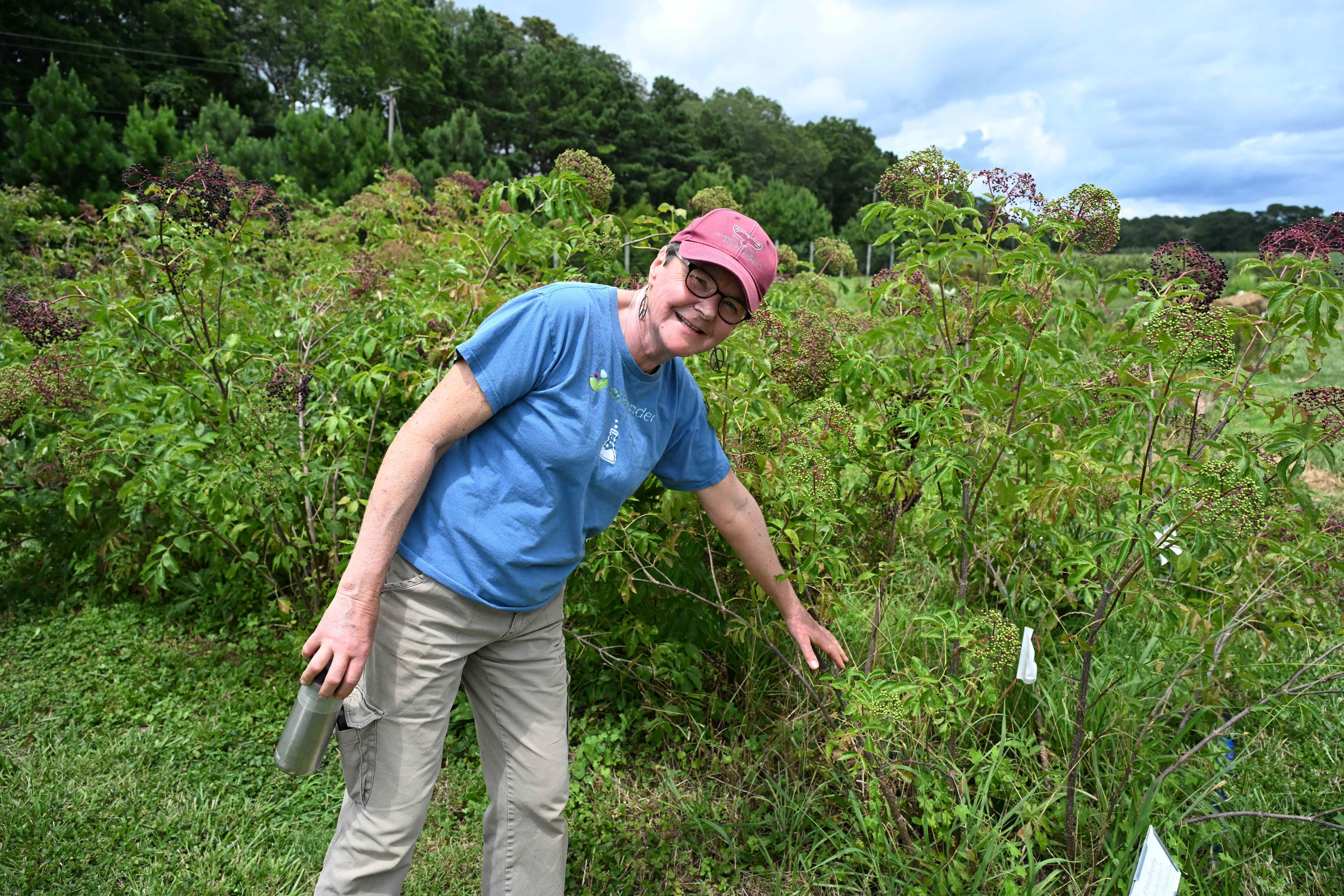 Henriette den Ouden, agent associate with UMES Extension's Specialty Herb program, points out elderberry plants at UMES' Research, Extension and Teaching Farm.