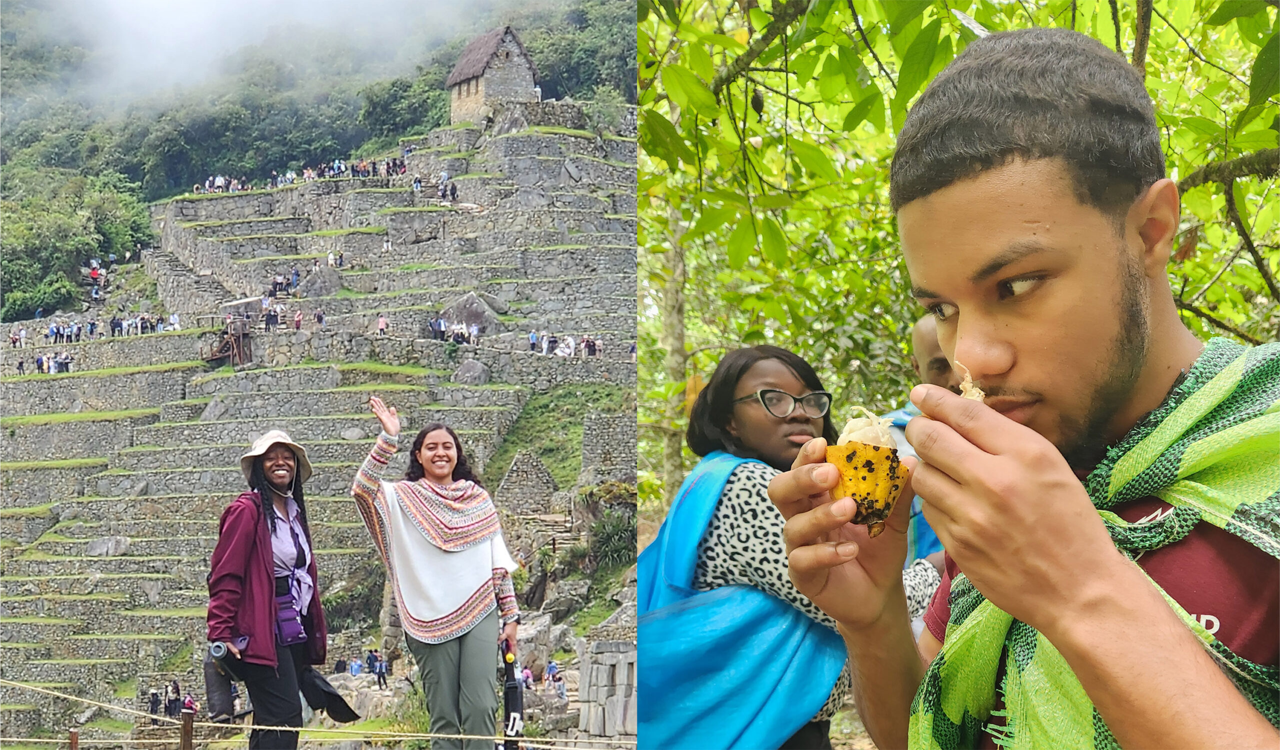 Shown is a composite photo of two female students on the agricultural terraces at Ollentyanmpo in Peru and a male student smelling cacao fruit on a Peruvian farm.