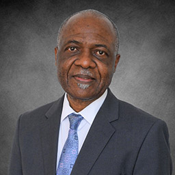 Dr. Paulinus Chigbu