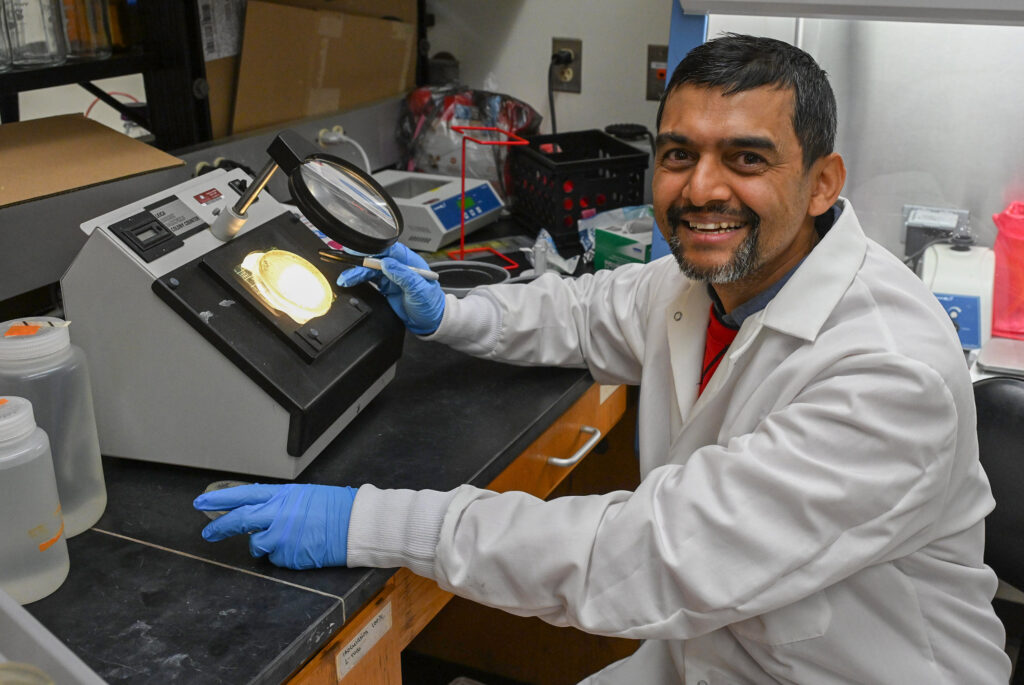 Janak Dhakal, assistant professor of animal science, is pictured in his Lab at UMES.