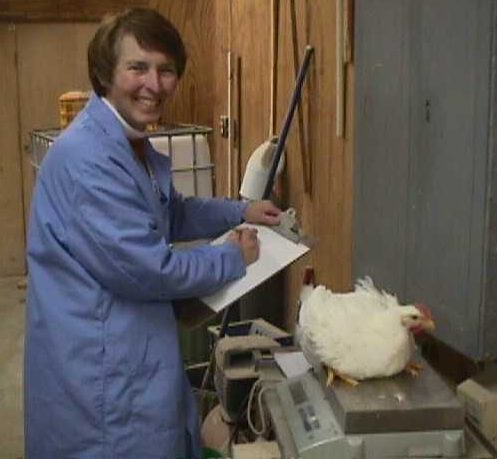 The late pioneering UMES poultry professor Jeannine Harter-Dennis weighs a chicken for research.