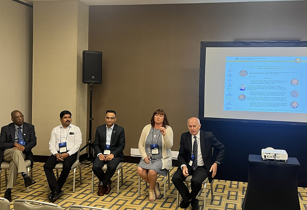 Panelists engage in discussion during the second part of the CEGFSD special session, “CEGFSD in Action: Impacts, Lessons Learned Challenges and Opportunities,” at the 2026 ARD conference.