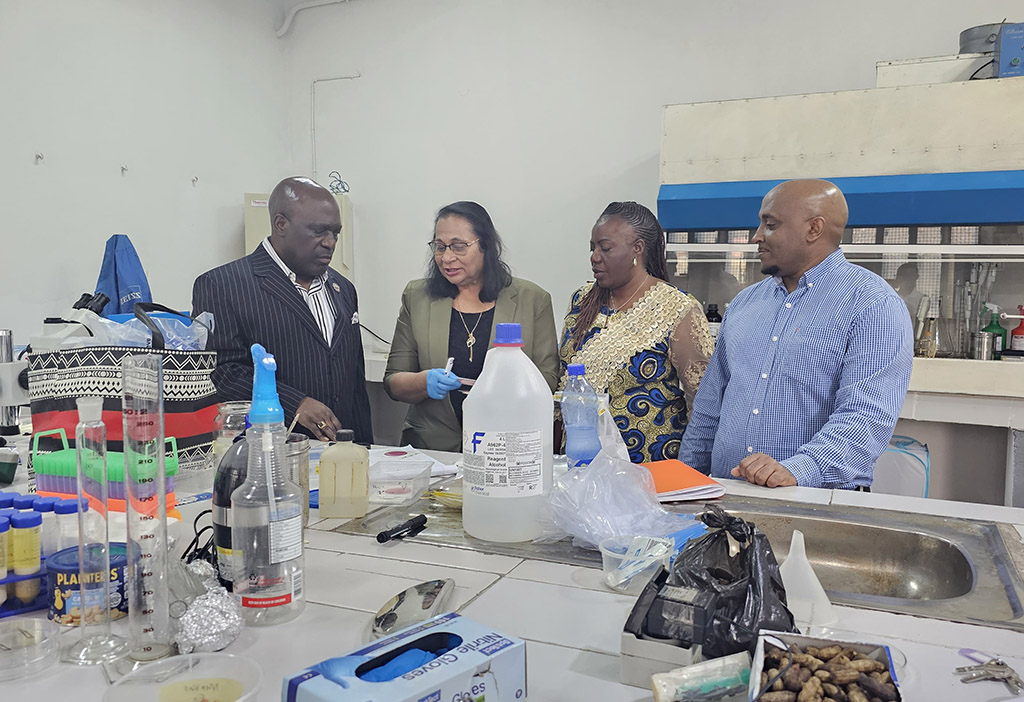 From left, Dr. Stephan Tubene, Dr. Salina Parveen, Professor Lyna Mukwa and Dr. Simon Zebelo speak during a hands-on laboratory session at PCi in Kinshasa.