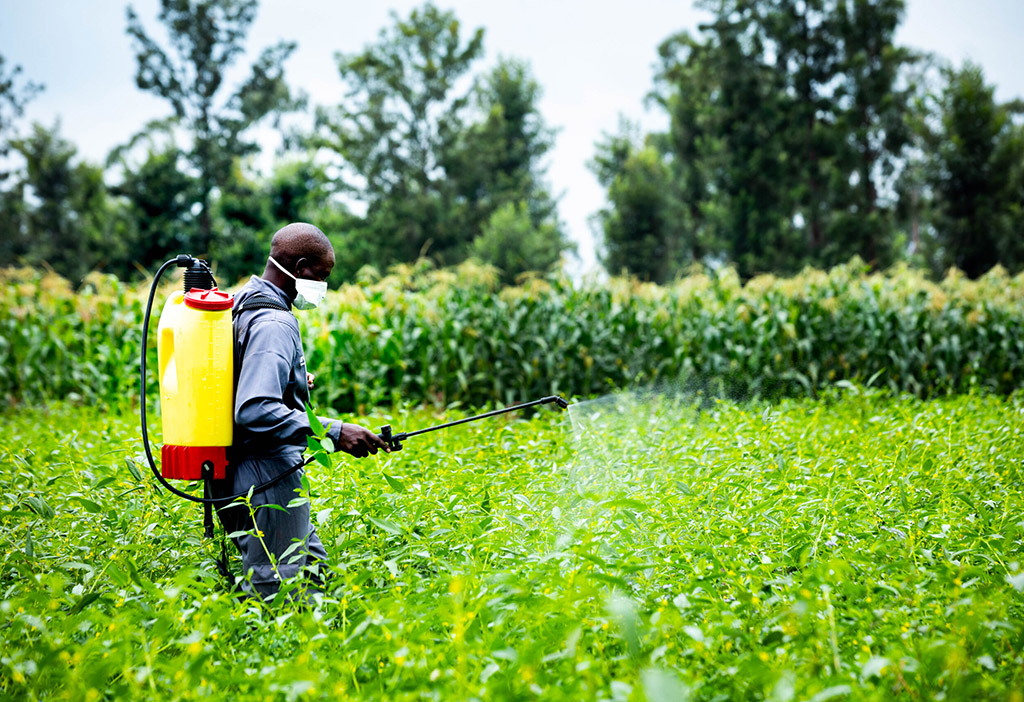 A worker sprays a field with pesticide.