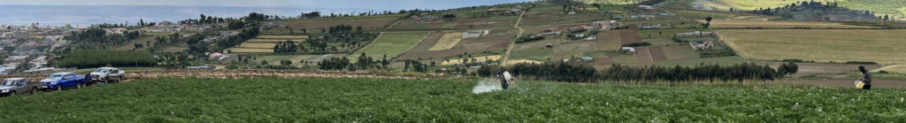 Workers sprays pesticide in a field.