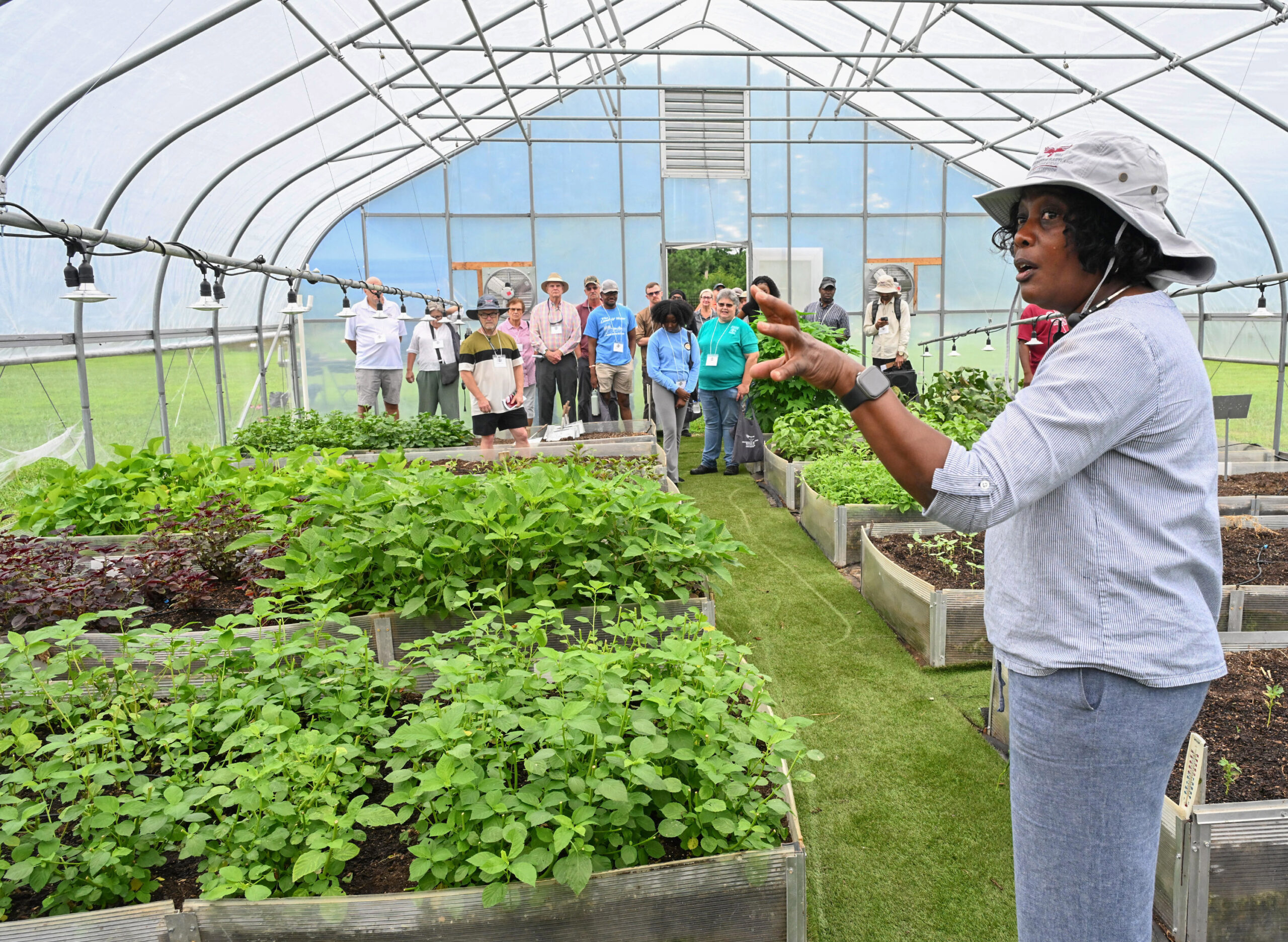 An alternative crop specialist talks about plants growing in a hoop house on UMES' Research, Extension and Teaching Farm.