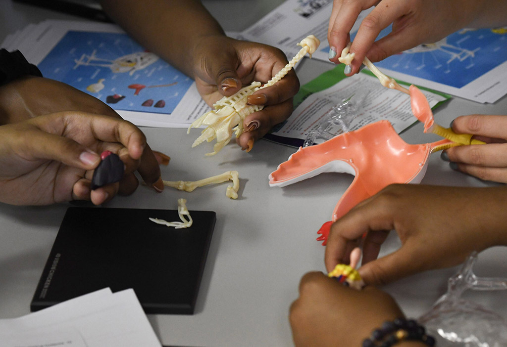 The natural sciences degree programs integrates hands-on learning and collaboration.