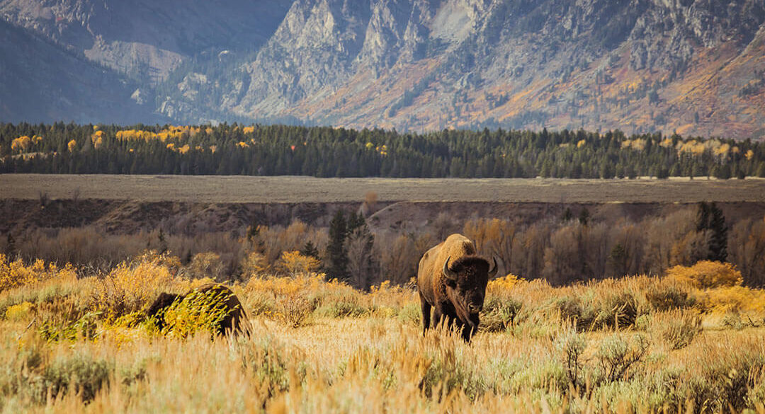 tim-peterson-1099515-unsplash-1