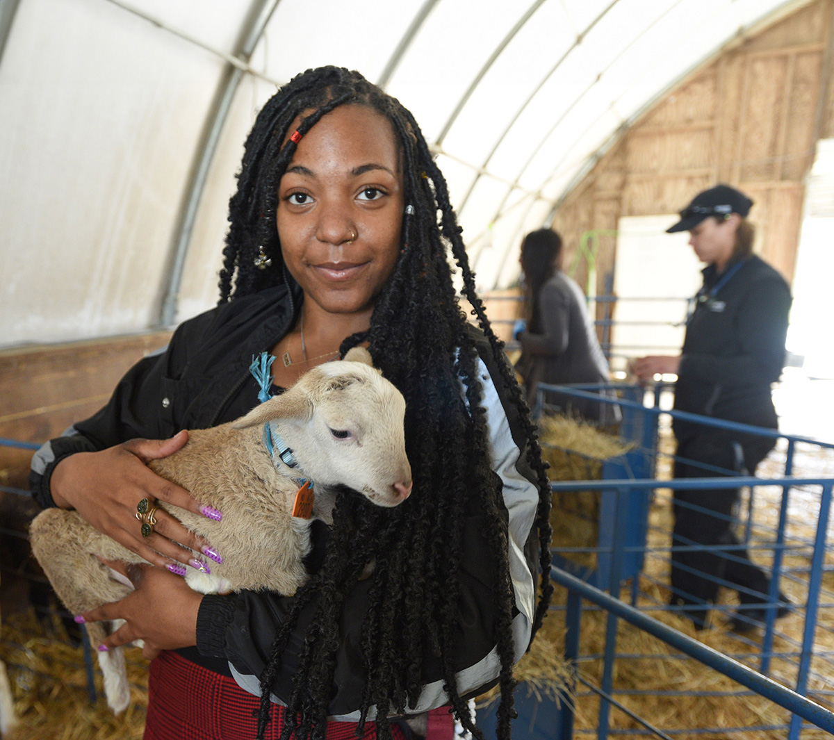 Veterinary students in clinical training